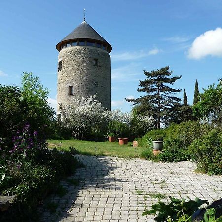 Au Moulin Geant Acomodação com café da manhã Rochefort-sur-Loire Exterior foto