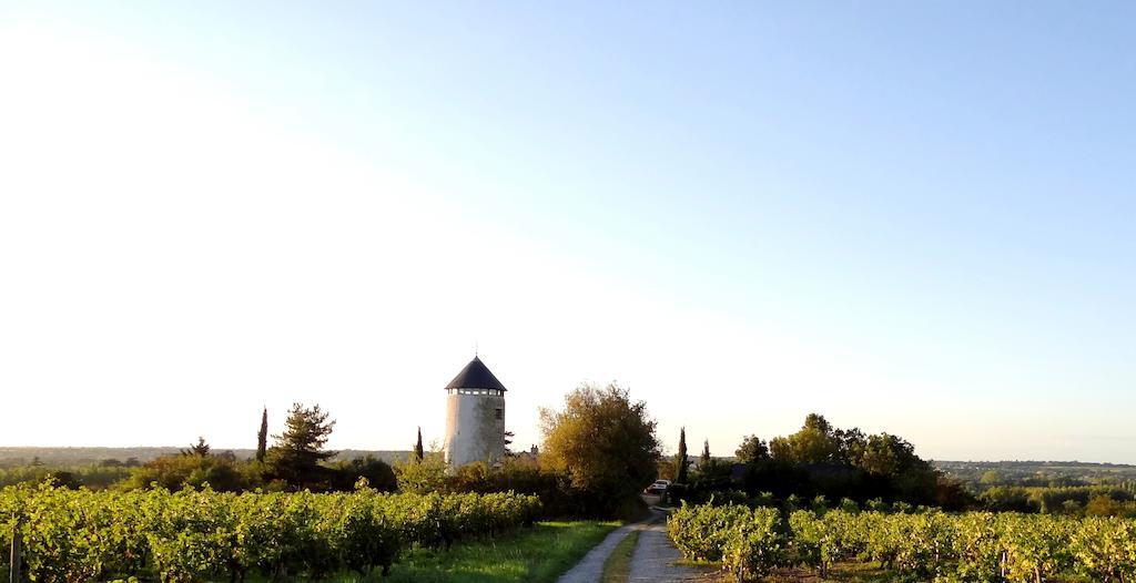 Au Moulin Geant Acomodação com café da manhã Rochefort-sur-Loire Exterior foto